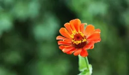 未來3個月，抽中上簽，橫財天降，4大星座賺錢多多，如虎添翼