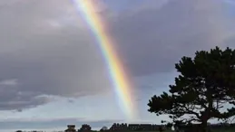 雅吉座：要開始大變身了，將有「兩個有錢人」來找你！開門迎接！