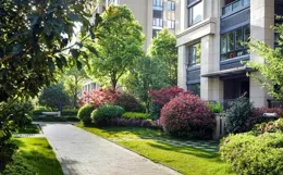 堂哥臨終前沒能見女兒一面，我深受觸動，很快就做出一個重大決定