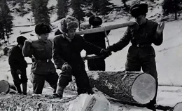 上海知青狠心拋棄傣族姑娘，40年後重回西雙版納，他嚎啕大哭