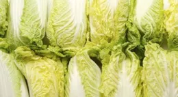 康復從日常做起：地中海飲食可幫助改善纖維肌痛癥狀