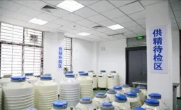 未婚女性不能用精子庫供精去父留子，是否合理呢？