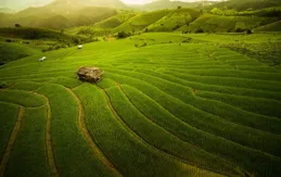 5.19-8.19，時來運轉，財神眷顧，富貴臨門，財源廣進的4個生肖