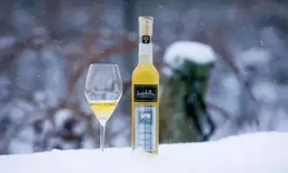Opihr的酒價效比高嗎？值得入手不？