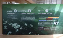 上海有多少种鸟类？多少种植物？徐汇新建生物多样性科普体验馆对外开放了，来涨知识吧