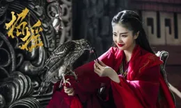 迅雷為什麽越做越爛？