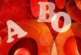 雅吉座AB型血：堅韌中綻放的巧思與平衡