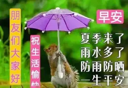 2024年5月15日星期三問候祝福圖片幸福美滿