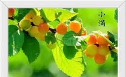 蔔算子-小滿話人生