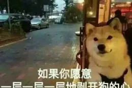 做過什麽比較爽的報復嗎？