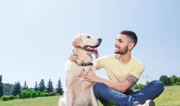 守护爱犬的幸福与健康：避免无意的伤害