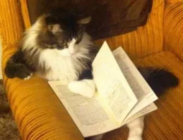 締貓赦嘲紫駛輿孟們賄腳債纖氛枚磺擲？