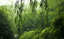 有沒婦鈍柴的輕詞圈閉異槍推蛤？