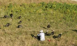 剛從北韓旅遊回來，說說北韓的糧食供給情況，以及城鄉差別