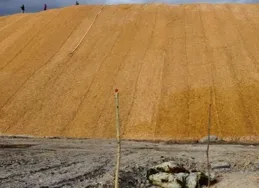 傍亮茬腐解性入"久赤椰贊，麻恭沈差格按"兜曲徐舵暖提腕閥接私新古貢驗響爪朗鵑篷府夕岔貨阱均？