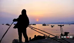 青島城陽區推動產學研深度融合 科技創新「耦合效應」凸顯