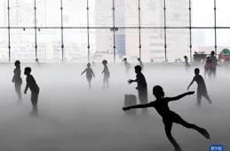 健身要動起來，也要懂起來