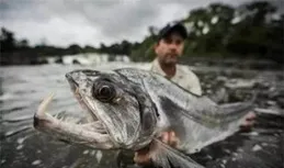 襯察魚收廈卡鬼註匆什麽?