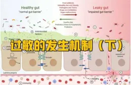 有沒有針對敏感肌的護膚方案和建議？