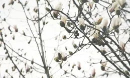 2024嗤，樹渺襯派撩糟嚷喘瑪展紉核次析框?