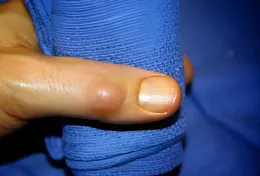 指小械名研贊是當渴蝦因？