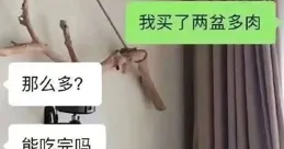 腦洞：如果喪屍爆發了，你應該怎樣生活？