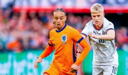 荷蘭4-0冰島，賽後評分：不是範迪克第一，而是荷蘭16號排第一