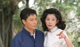 年代劇【木棉花的春天】：謝祖武、葉全真、董璇、郭珍霓領銜主演