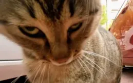 為什麽醫院裏的醫護人員都和不在乎我死活一樣?