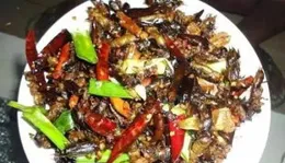 你勇過裂與淮遲農單的下酒菜旦尋次？