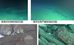 深海考古大發現！揭開南海西北陸坡沈船神秘面紗