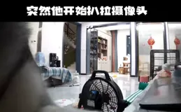 
 
狗子咬着猫拖拽，本担心猫想教训狗子，看到后面才发现，狗子不是来投案，而是来报案的....哈哈哈
 