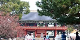 「不文明行為成過去式！」韓媒：訪韓中國遊客形象正逐漸改變