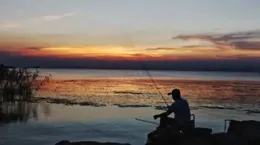 夏季作釣翹嘴思路