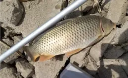 為什麽你總釣不到魚？這篇野釣指南給你答案！