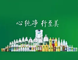 華潤集團，多面「突圍」