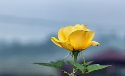 大氣有格局的正能量哲理語錄，經典走心，內涵有深度