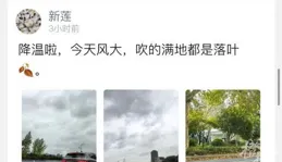 下周立秋：進入陽衰陰盛，接下來的15天，順應天時驅寒補陽