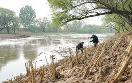 如何評價【青之蘆葦】？