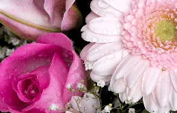 下周運勢不錯，工作獲認可的星座，前程似錦，收獲小幸運！