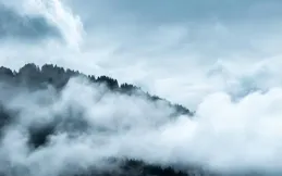 人生，不怨，不恨，不強求，凡事隨緣