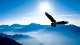 格局決定人生高度，一個人格局大不大，看這三件事就知道了！