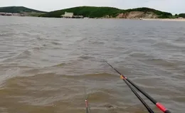 夏季野釣鯽魚，老釣友說：夏天調鈍，冬天調靈，你贊同這個說法嗎