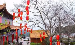 獅子座；劫難已過，福緣來臨，善行引佛緣，好運連連