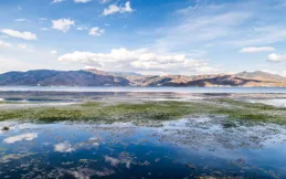 任時光流逝，依舊愛著婆娑的世界