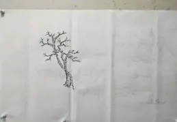 繪畫分享8‖松針畫法合集 值得點贊收藏！