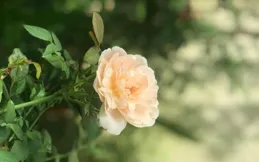 女人到了中年，如何活成人生贏家，答案其實很簡單