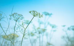 混混看了都顫顫的幾個星座，知道他們不是那麽好對付