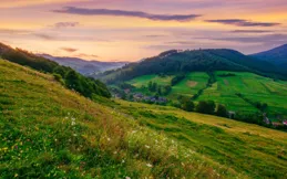 人生如戲，全靠演技