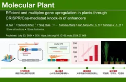 陸鈺明/朱健康組合作實作大幅增強基因表現的通用解決方案